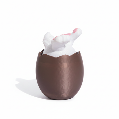 Coelhinho chocolate - nascendo